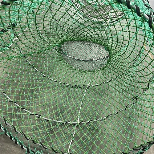 -Pasu Ikan Kod Berkualiti Tinggi Dari China Mendapat Populariti yang Semakin ...